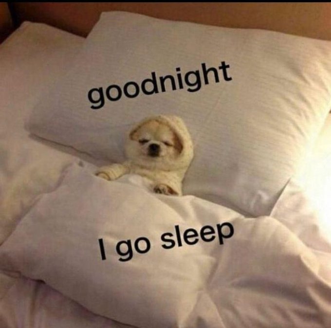 A golden retriever puppy wrapped in blankets on a pillow with the text 'goodnight' above and 'I go sleep' below.