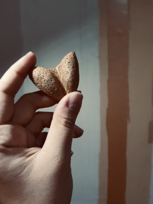 A close-up of a hand holding an almond-shaped object crafted from clay or dough, featuring small dimples resembling a cat's nose.