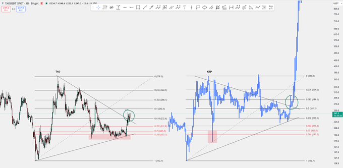 Two side-by-side technical analysis charts compare Bittensor ($TAO) and XRP at the 0.5 Fibonacci retracement level (~298.2), highlighting a green circle where $TAO breaks out of a descending trendline alongside a massive price spike, suggesting a significant breakout moment for $TAO despite the poster's disbelief.