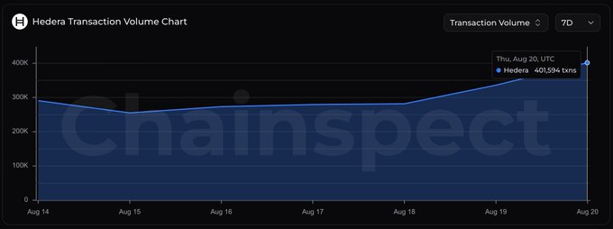 A Hedera Transaction Volume Chart from Chainspect displays daily transaction counts from August 14-20, 2026, with the most recent data point showing a notable spike to 401,594 transactions on August 20 UTC, highlighting the network's highest daily throughput of the week.