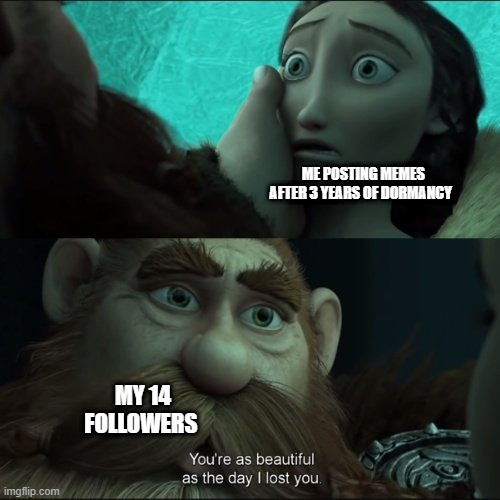 A two-panel meme using scenes from Brave, showing 'ME POSTING MEMES AFTER 3 YEARS OF DORMANCY' with a wide-eyed character looking at 'MY 14 FOLLOWERS' saying 'You're as beautiful as the day I lost you.'