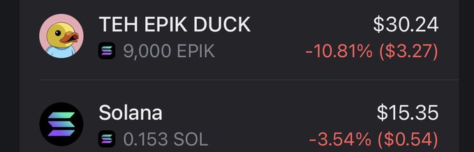 A crypto portfolio showing 'TEH EPIK DUCK' at $30.24 (down 10.81% / $3.27) with 9,000 EPIK, and Solana at $15.35 (down 3.54% / $0.54) with 0.153 SOL.
