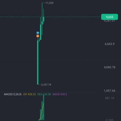 A financial trading chart displays a sharp downward price movement with a long green candle, showing key price levels including 11,220 and 9,655, along with MACD indicator values at the bottom.