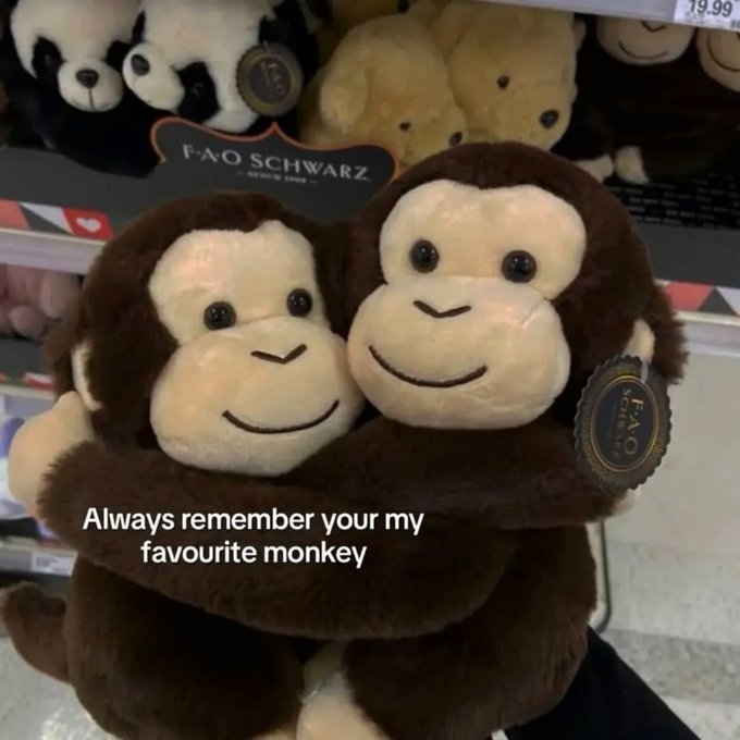 A pair of hugging monkey plush toys from FAO Schwarz with the caption 'Always remember your my favourite monkey' displayed in a store.