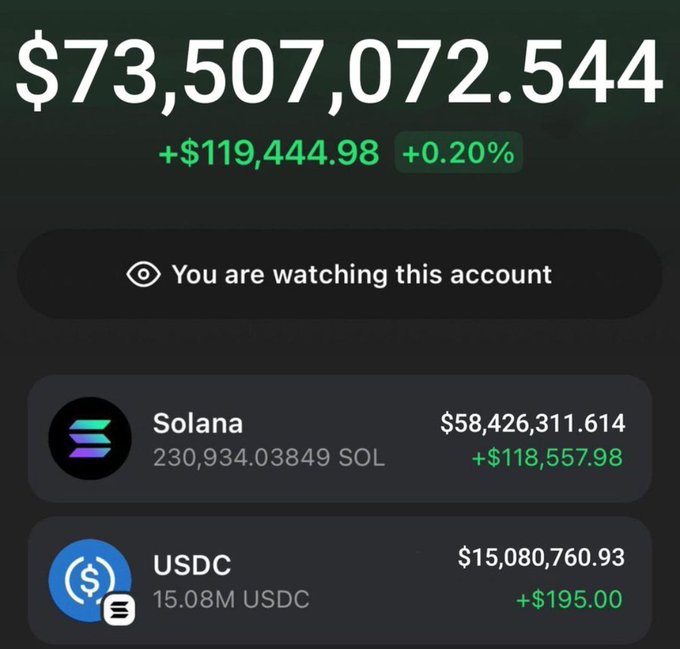 A cryptocurrency portfolio dashboard displaying a total balance of $73,507,072.544, up +$119,444.98 (+0.20%), with holdings primarily in Solana (230,934.03849 SOL worth $58,426,311.614) and USDC (15.08M USDC worth $15,080,760.93).