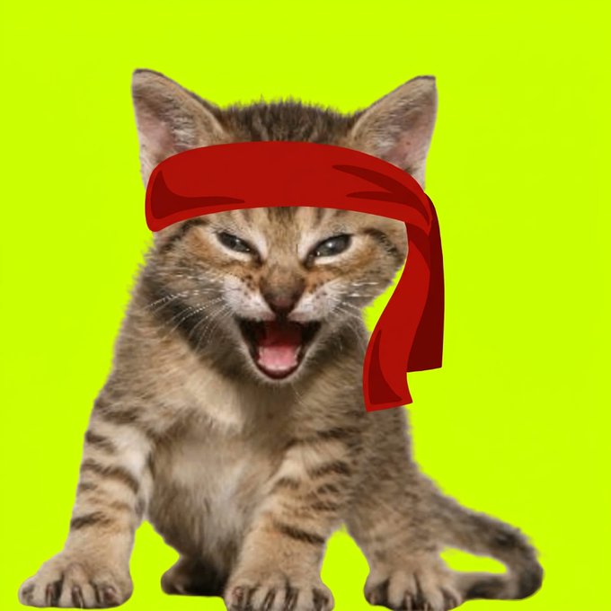 A roaring tabby kitten wearing a red headband strikes a fierce pose against a bright green background, personifying the "Roaring Kitty" meme behind the $KITTY memecoin airdrop promotion.
