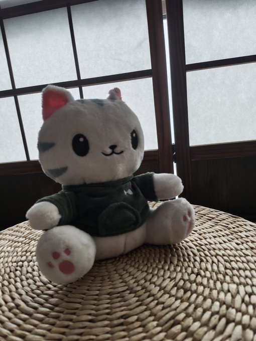 A plush cat toy with pink cheeks and a green shirt sits on a woven straw surface in front of traditional Japanese shoji sliding doors.