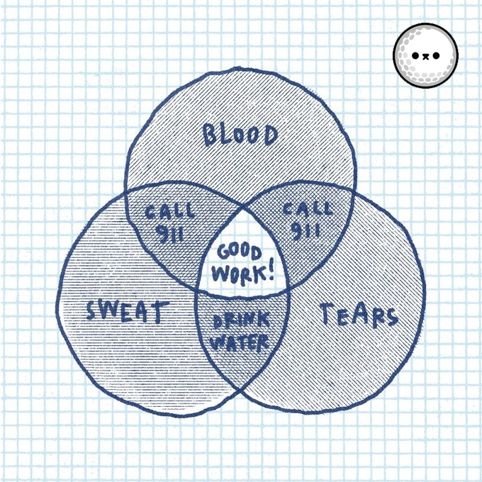 A hand-drawn Venn diagram on graph paper showing the humorous intersections of Blood, Sweat, and Tears, with overlapping regions labeled "Call 911" and "Drink Water," and the center labeled "Good Work!"