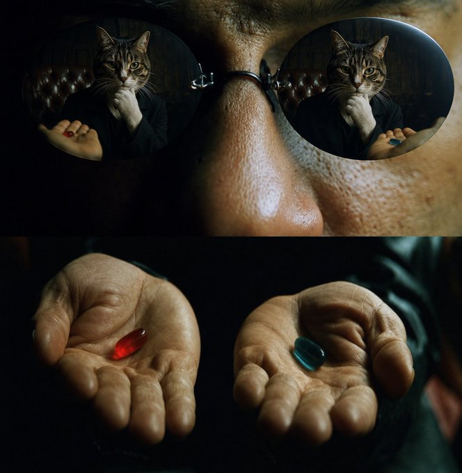 A creative image showing a person wearing sunglasses that reflect a cat in a suit thinking, with their hands holding red and blue pills reminiscent of The Matrix, all set against a man's face.