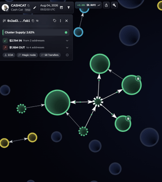 A blockchain transaction visualization for 'CASHCAT' on Cash Chain Swap, showing a cluster supply of 2.62% with circular node diagrams representing token transfers.