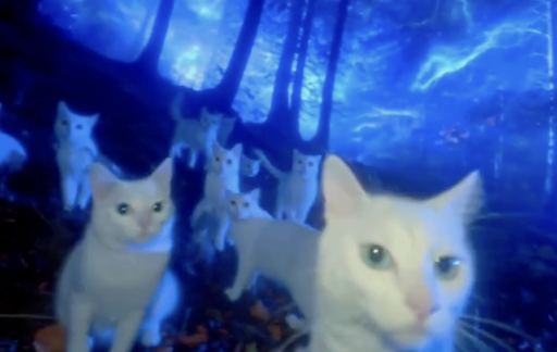 A surreal image of multiple white cats in a dark blue forest setting, with a large white cat face prominently in the foreground against a mystical, glowing blue wooded background.