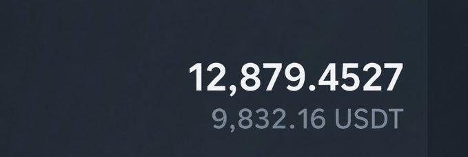 A dark screen displaying a cryptocurrency balance showing '12,879.4527' of a token valued at '9,832.16 USDT'.