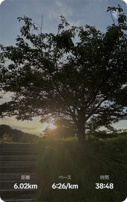 A running app screenshot capturing a scenic 6.02 km run in 38:48 at 6:26/km pace, featuring a sunset view through tree branches at the end of stone steps.