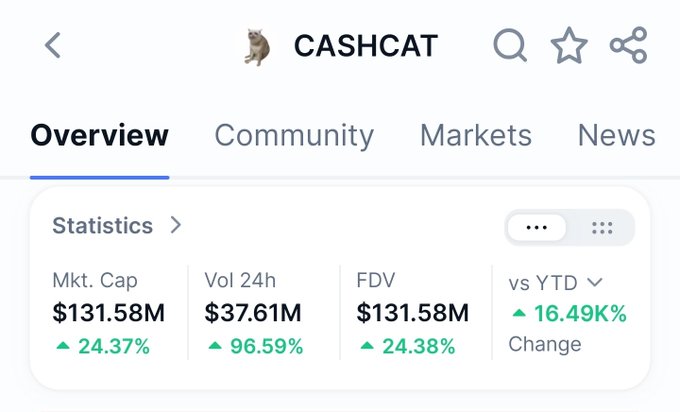 A CoinMarketCap screenshot displaying the overview statistics for the 'CASHCAT' cryptocurrency, showing a Market Cap of $131.58M, a 24h Volume of $37.61M, and a YTD change of +16.49K%.