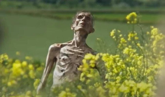 The image features a person standing in a field of yellow flowers with their arms outstretched towards the sky. They appear to be looking up or gazing into the distance. The background consists of green grass and trees, creating a serene atmosphere. The caption "Remember the people buying ETH at $4,900" suggests that there might have been an event related to cryptocurrency or the stock market in the past involving someone named "Remember".