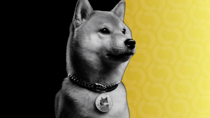 urn of gold and black color with a silver dog collar, wearing a silver coin pendant on its neck against a yellow background.