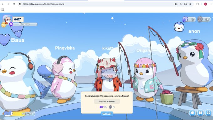A screenshot from the play.pudgyworld.com Pengu Place game showing various penguin characters including Baus, Pingvisha, kiki37, Origen, and anon, with a notification congratulating the user for catching a Tilapia.
