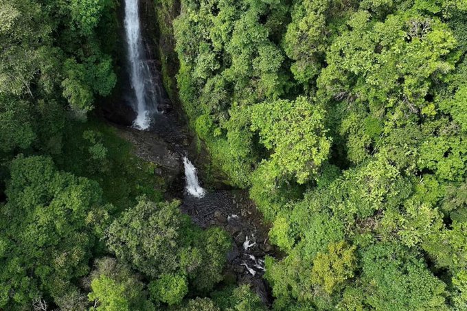 The image shows an aerial view of a waterfall surrounded by lush green trees. The waterfall is located at the bottom left corner of the frame, while the surrounding greenery extends towards the top right corner. The scene appears to be part of a larger forested area with more trees visible in the background.