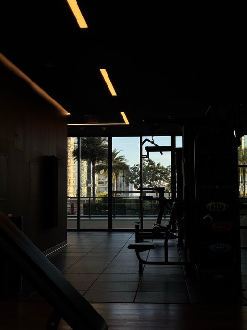 A dimly lit gym interior silhouettes workout equipment against large floor-to-ceiling windows that reveal a bright outdoor view with palm trees and city buildings.