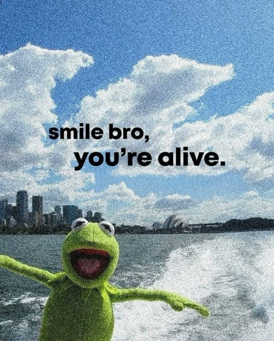 A meme featuring Kermit the Frog with arms outstretched against a backdrop of the water and the Sydney skyline under a cloudy sky, with text reading 'smile bro, you're alive.'