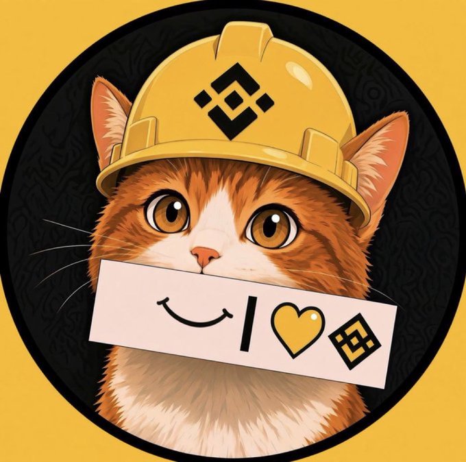 An orange and white cat wearing a yellow hard hat featuring the BNB logo holds a sign reading "₿🐱♥️⬜" (the Binance symbol with a smile, heart, and BNB logo), representing "BNBcat" as the latest in a family lineage of crypto-themed cats.
