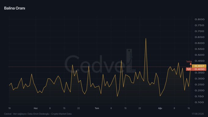 The image shows a chart titled "Balina Oranı" (Whale Ratio) for "TA" (likely Tether/Bitcoin) tracked on the cryptocurrency data platform Cedvela, with a current value of 0.400 and a notable peak reaching around 0.675 in late July. The chart visualizes the whale ratio trend over time, supporting the post's observation of increased whale activity sending Bitcoin to exchanges, with the rising ratio indicating whales are taking more sales-oriented positions.