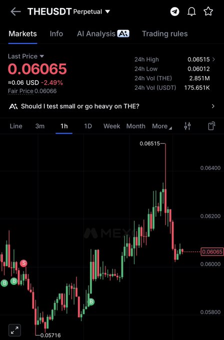 A cryptocurrency trading chart displays the THE/USDT perpetual pair at a last price of 0.06065 USD (down 2.49%), with the 1-hour candlestick chart showing a recent rally to a 24h high of 0.06515 followed by a sharp pullback to current levels, supporting the "$the adding here" sentiment as the price appears to be consolidating near recent lows.