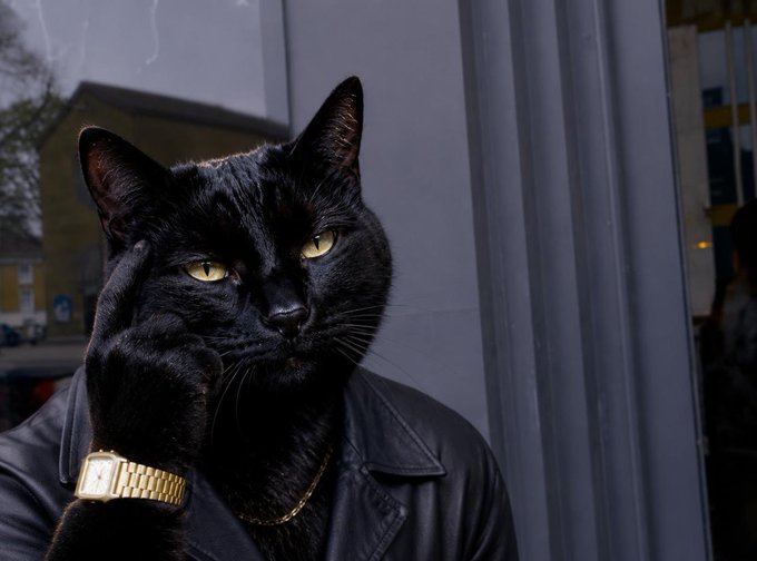 A black cat wearing a black leather jacket and a gold watch poses with its paw against its head in a thoughtful gesture.