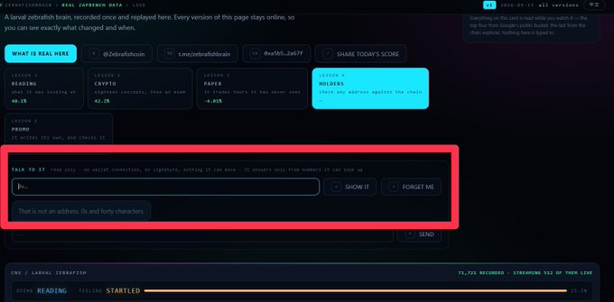 A screenshot of the Zebrafrenz blockchain website showing stats for 'Crypto', 'Paper', 'Reading', and 'Holders' sections, with a red highlighted box around a chat input field that displays 'That is not an address. 0x and forty characters.'