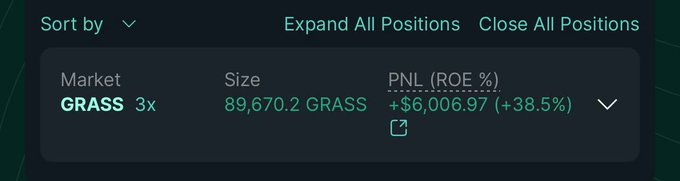 A dark-themed trading interface showing a 'GRASS 3x' market position with a size of 89,670.2 GRASS and PNL of +$6,006.97 (+38.5%).