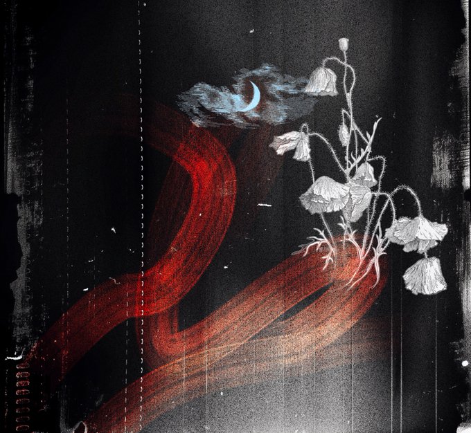 An artistic, moody illustration featuring white sketched poppy flowers against a dark background, with flowing red brushstrokes and a small crescent moon nestled in clouds.