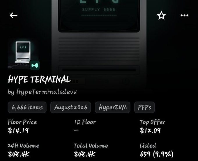 A digital collectibles marketplace page displays 'HYPE TERMINAL by HypeTerminalsdevv' with 6,666 items, a floor price of $14.19, and 24H volume of $48.4K.