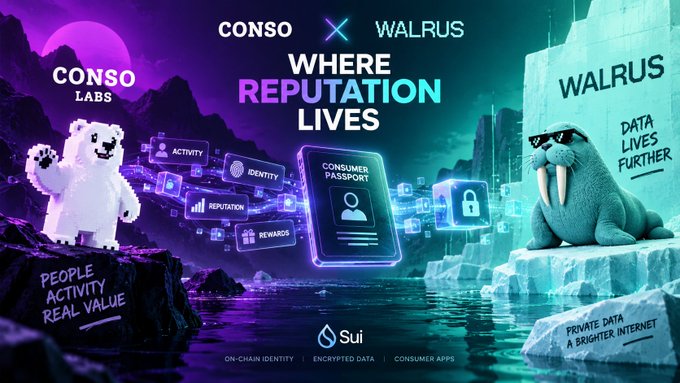 A promotional graphic for 'CONSO X WALRUS' with the tagline 'WHERE REPUTATION LIVES,' showcasing pixel-art mascots (a polar bear and a walrus) alongside digital icons for identity, rewards, and data, built on the 'Sui' blockchain.