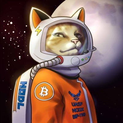 A digital artwork of a cat in an orange astronaut suit with a Bitcoin logo and 'HODL' written on it, floating in space.