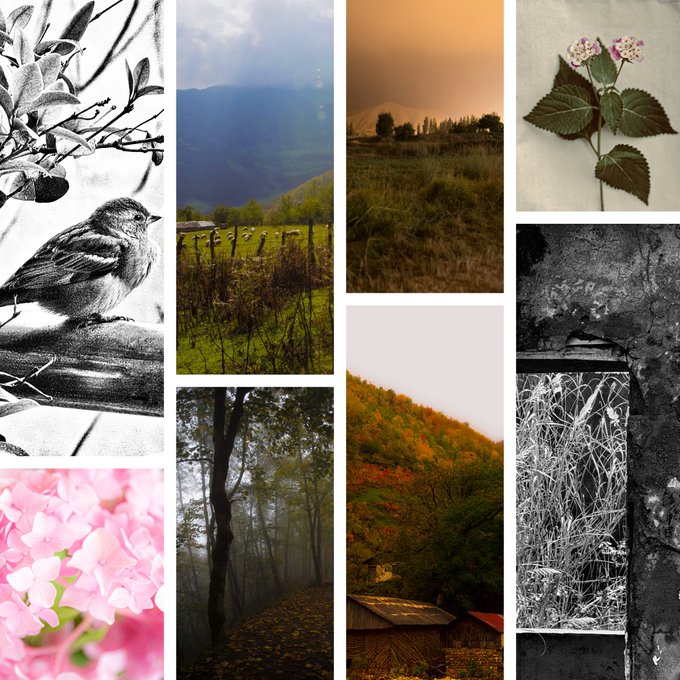 A collage of available nature photographs, including birds, flowers, mountains, forests, autumn foliage, and misty landscapes. It appears to be a visual preview for the user’s object listings on objkt.com/users/tz1X8KHz; no other readable text is visible.
