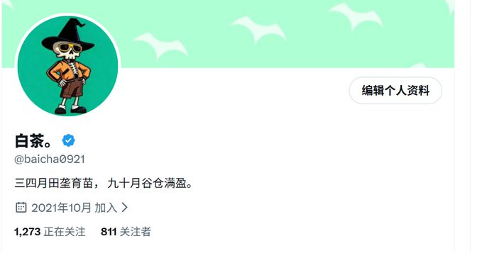 A social media profile screenshot featuring a skeleton in a witch hat avatar, the username '白菜。' (@baicha0921), a bio reading '三四月田垄育苗，九十月谷仓满盈。', and an October 2021 join date.