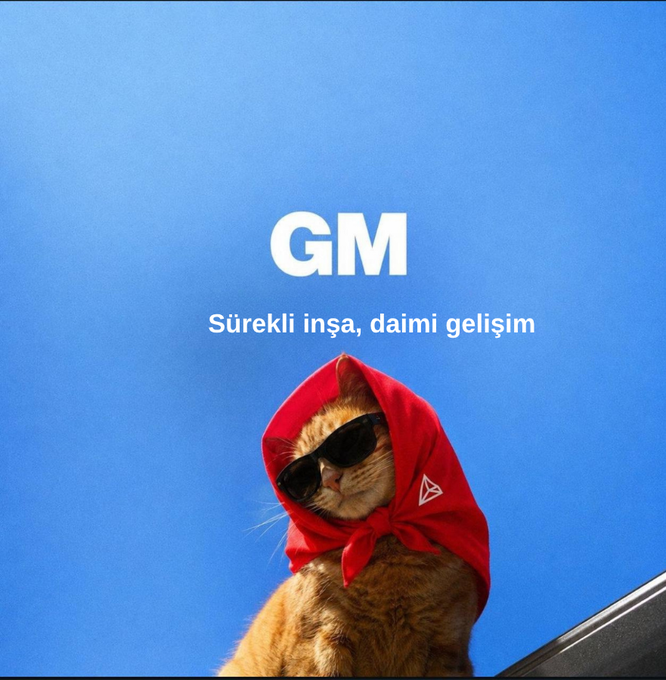 The image features a cat wearing sunglasses, a red scarf or hoodie with "Günaydın Tronnerlar Çimlere basmayı ve kendinize yatırım yapmayın". The cat is sitting on top of a blue wall.