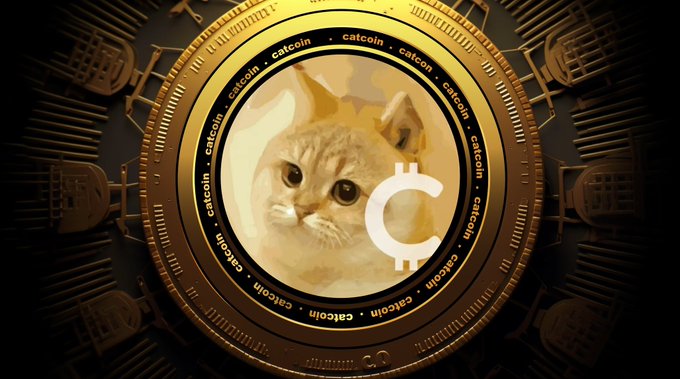 A gold Catcoin crypto coin featuring a Shiba Inu dog's face at the center, with the word "catcoin" repeated around the rim and a prominent "C" logo overlay. The image aligns with the post about Catcoin's relaunch on Pumpfun and its migration campaign toward a $50M market cap target.