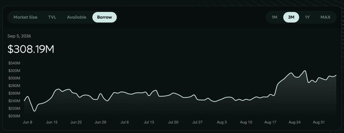 A line chart showing market size over a 3-month period, displaying a value of $308.19M on Sep 5, 2026, with the 'Borrow' tab selected and values ranging from $220M to $340M.