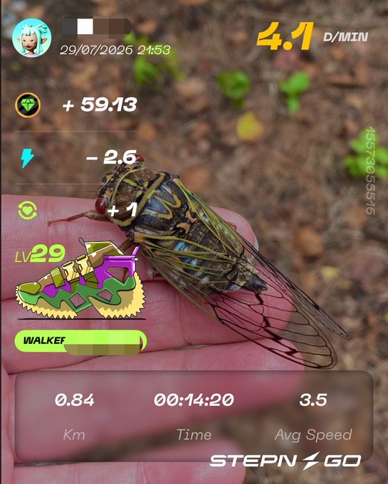 A STEPN GO fitness app screenshot showing a cicada on a hand, tracking a 0.84 km walk in 14 minutes and 20 seconds, earning GST tokens with a level 29 sneaker NFT.
