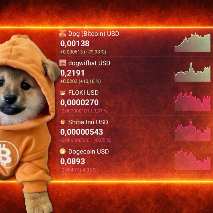 A promotional image featuring a dog wearing an orange Bitcoin hoodie alongside a list of meme coin prices including Dog (Bitcoin) USD at 0.00138, dogwifhat USD at 0.2191, FLOKI USD at 0.0000270, Shiba Inu USD at 0.00000543, and Dogecoin USD at 0.0893.