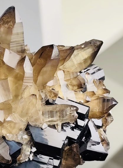 A close-up photograph of a cluster of clear and dark, smoky quartz crystals.
