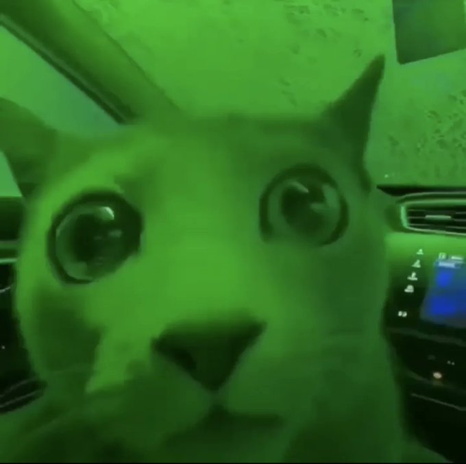 A close-up, green-tinted night-vision style photo of a wide-eyed cat sitting inside a car.