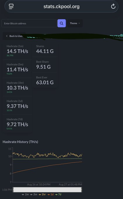 A screenshot of the stats.ckpool.org website showing Bitcoin mining hashrate statistics, including a 1m hashrate of 14.5 TH/s, 5m hashrate of 11.4 TH/s, and shares of 44.11 G, along with a hashrate history graph.