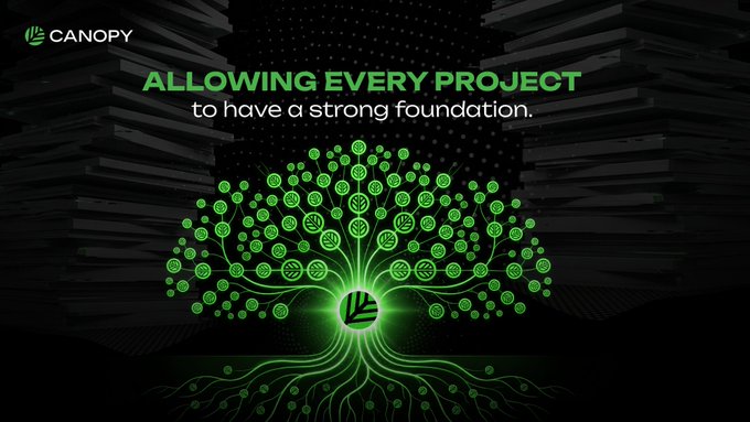 A Canopy promotional graphic with a glowing green digital tree, featuring the text 'ALLOWING EVERY PROJECT to have a strong foundation.'