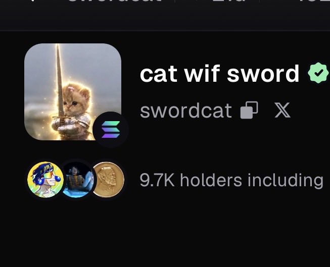 A dark-mode interface showing a cryptocurrency or NFT profile titled 'cat wif sword' with a verified badge and the subtitle 'swordcat', featuring an image of a fluffy cat holding a glowing sword, alongside the text '9.7K holders including'.