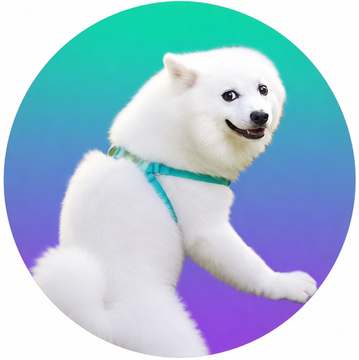 A fluffy white Samoyed dog wearing a teal harness, posed with one paw raised against a vibrant blue and purple gradient background—appearing as the "DOGE version of SAMO" viral meme character referenced in the post.