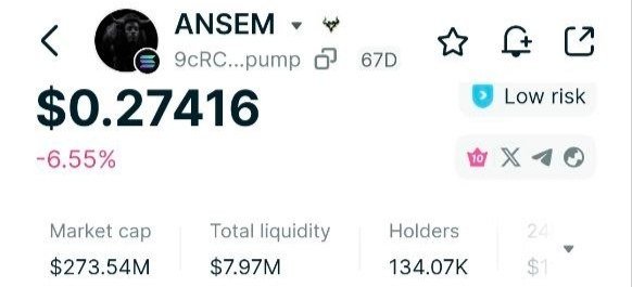 A cryptocurrency tracking screen displaying the token "ANSEM" (9cRC...pump) priced at $0.27416, down 6.55%, with a market cap of $273.54M, total liquidity of $7.97M, and 134.07K holders.