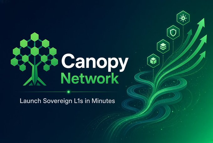 A promotional graphic for "Canopy Network" with the tagline "Launch Sovereign L1s in Minutes," featuring a green hexagonal tree logo and upward-pointing arrows with icons like a cube and shield.
