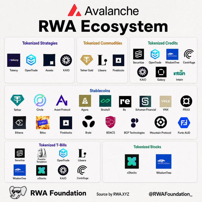 The image features a poster or infographic that displays various logos, including those of RWA Foundation, tokenized strategies, tokenized commodities, tokenized credits, tokenized assets, tokenized trading platforms, tokenized trading strategies, tokenized trading systems, tokenized trading protocols, and tokenized trading platforms. The logos are arranged in a grid-like pattern with each row containing three different types of tokens or tokenized strategies. The image also includes the text "RWA Foundation" at the bottom and "@avax RWA ecosystem map" above it.
